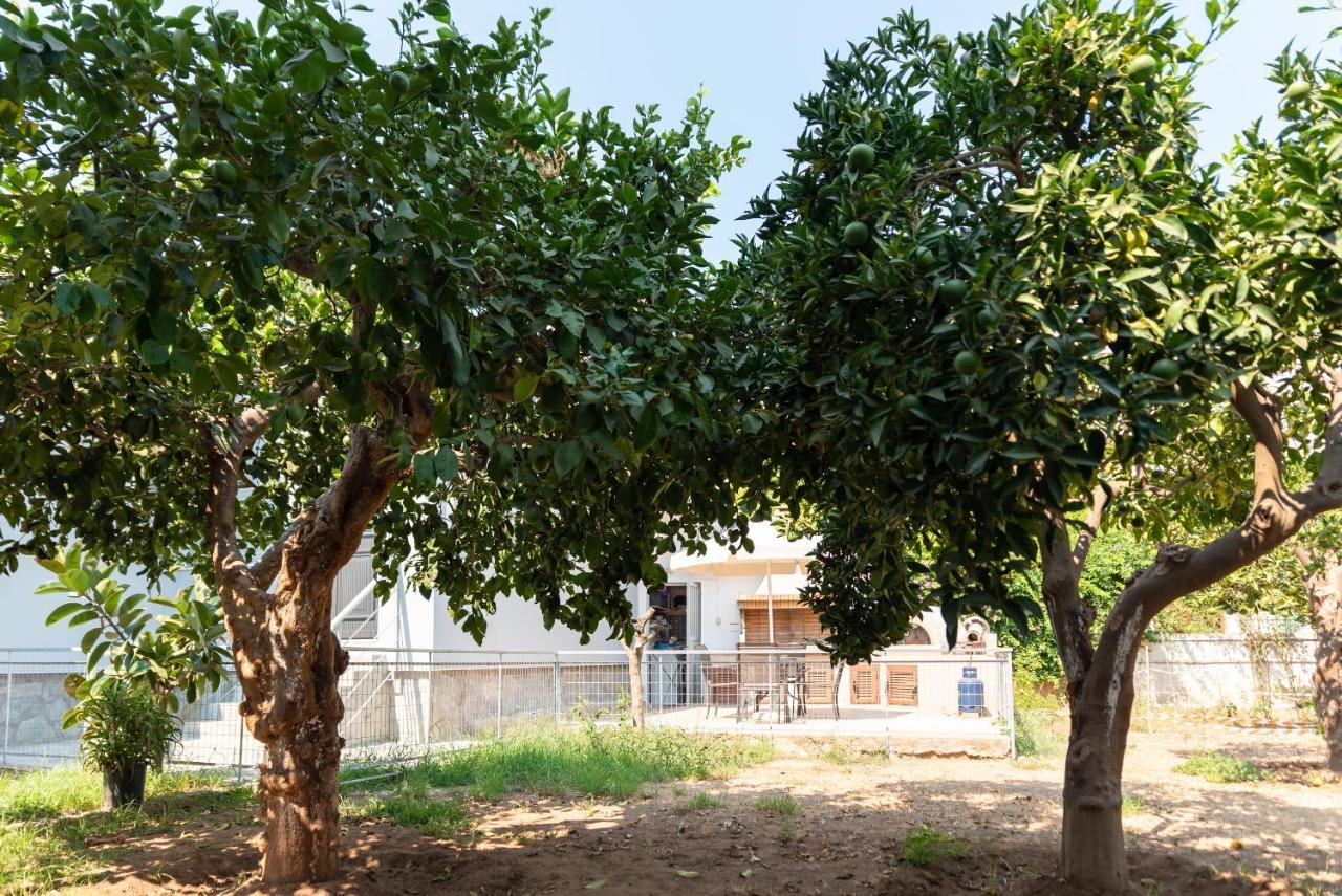 شقة Garden House بريفيزا المظهر الخارجي الصورة